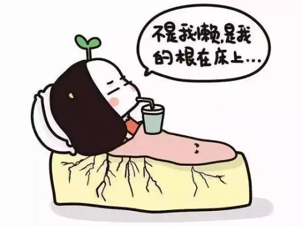 【健康】不爱吃早饭的懒癌患者,都来看看了啊!