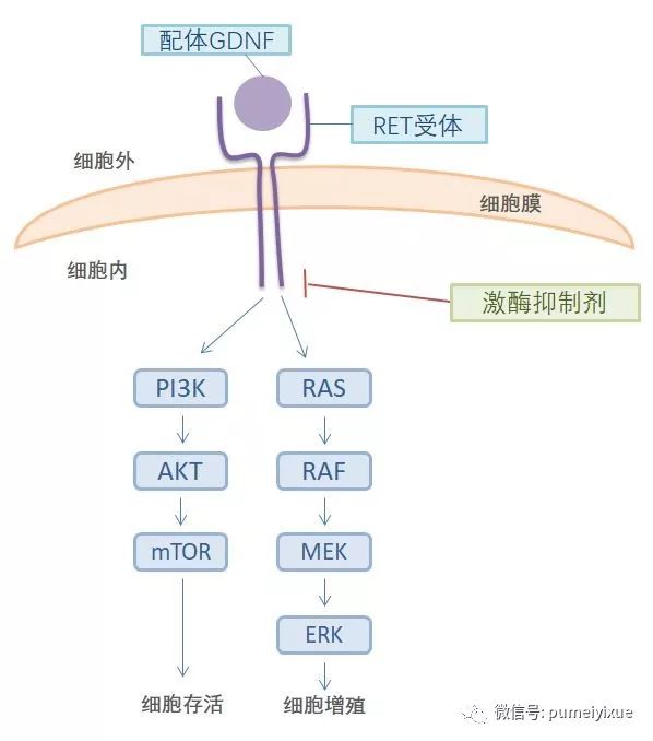 b775af48bf3c4ec6b95cc6a2458a4386.jpeg