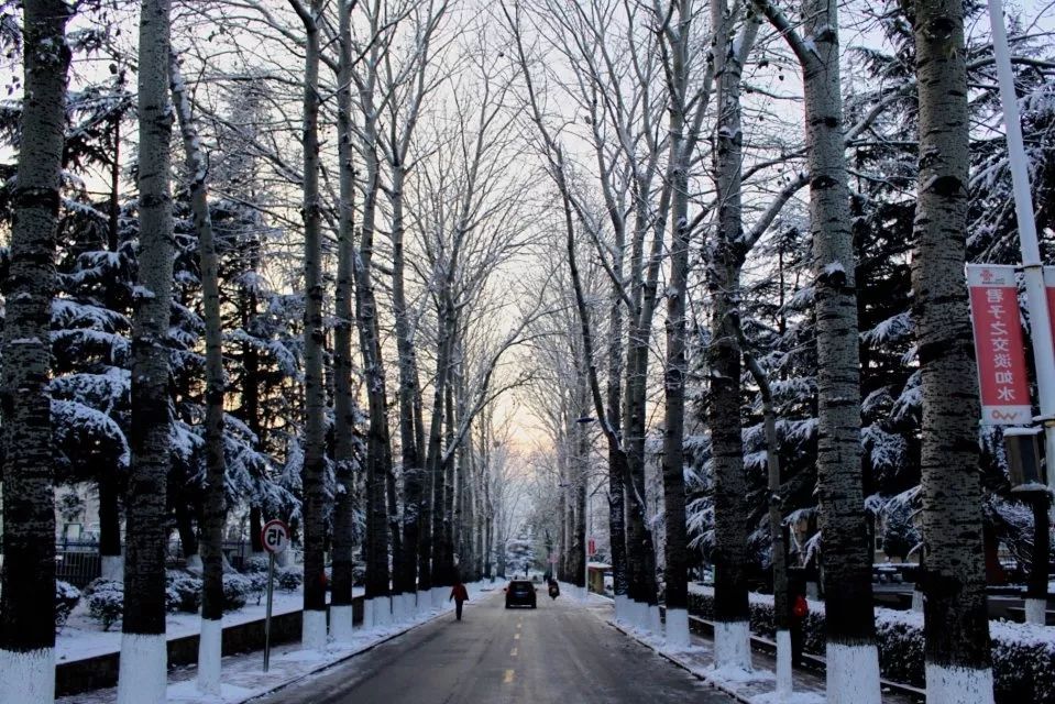 冬天来了,鲁东大学的初雪还在路上吗?