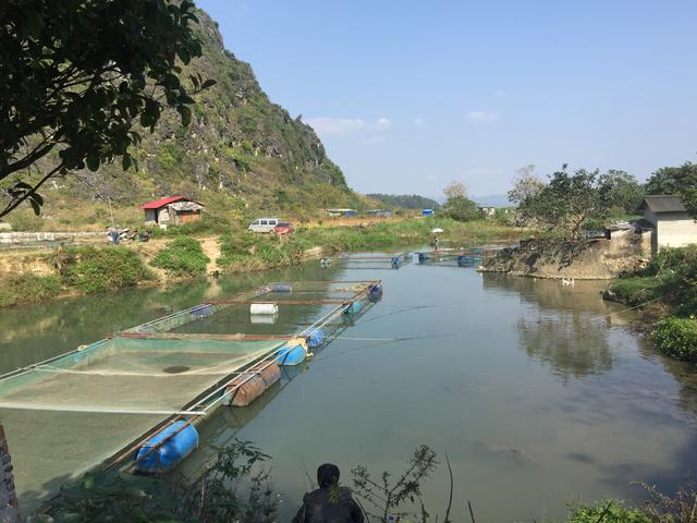 广西的农村,你喜欢去住吗?