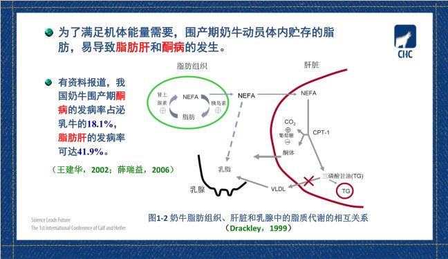 胃肠道健康_胃肠道健康的重要性_肠胃健康日