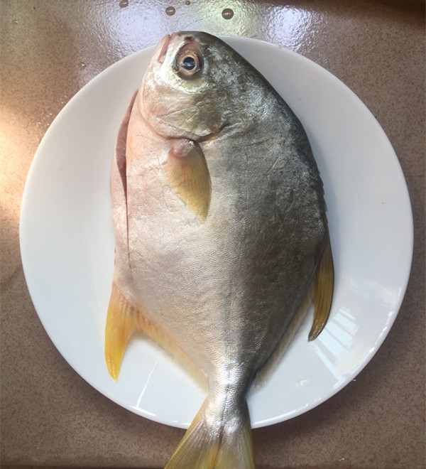 黄豆酱烧鲳鱼的做法 1.准备新鲜宰杀的鲳鱼.