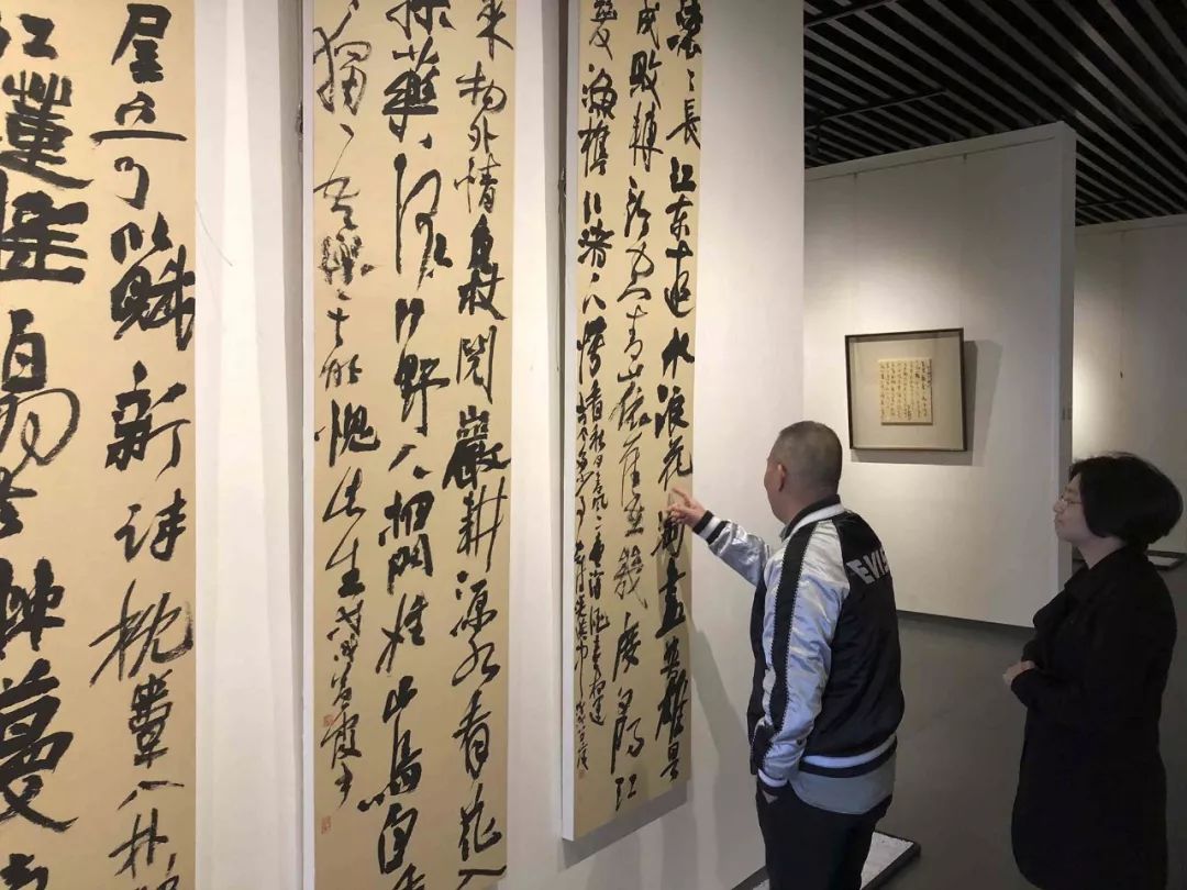 现场闲听秋水蔡梦霞书法作品展内含学术研讨视频及文字