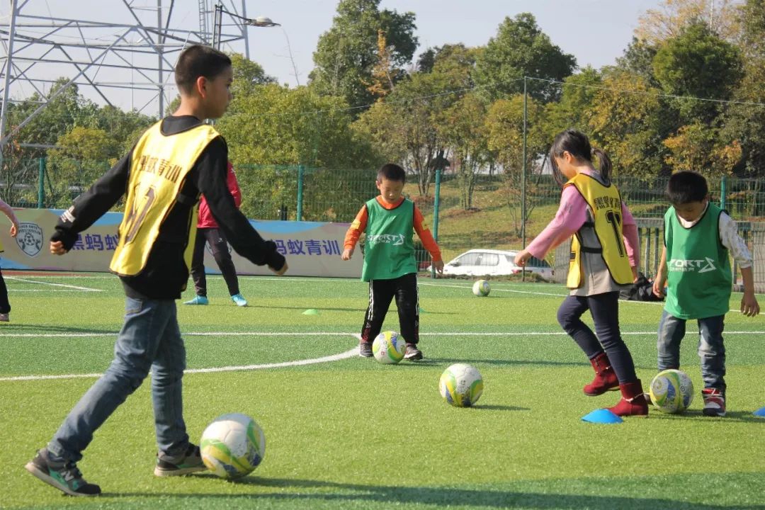 公益之行 | 金台小学课外活动