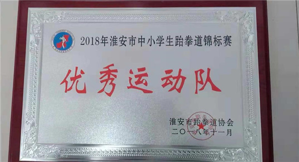 周恩来红军小学西校区参加2018年淮安市跆拳道锦标赛荣获金奖 图3