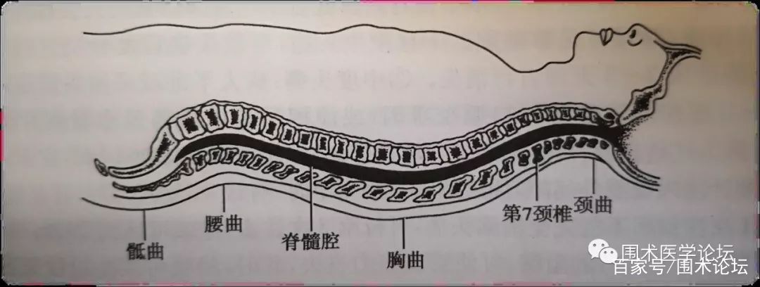 腰硬联合麻醉围术全期麻醉护理演示