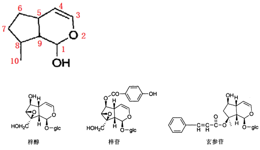 裂环环烯醚萜苷在龙胆科,睡菜科,茜草科,忍冬科,木犀科等植物中分布