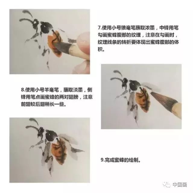 国画教程:蜜蜂画法