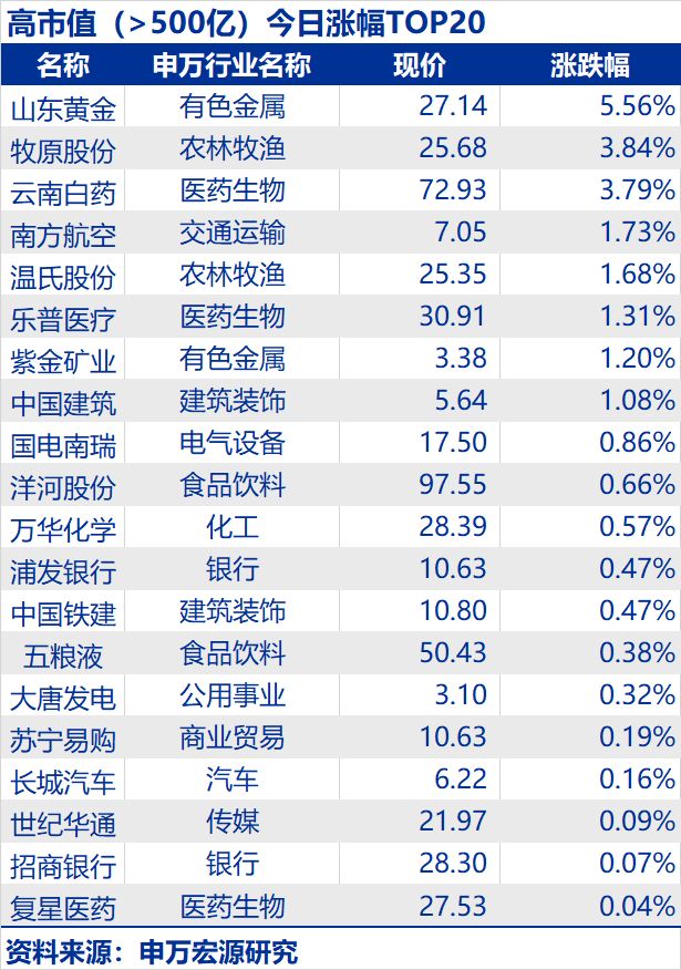 5. 市值500亿以上股票复盘