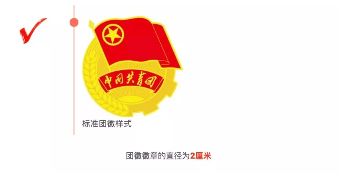 关于团旗,团徽和团歌的使用,你还需要知道这些