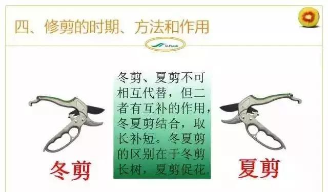 截长什么短成语_成语故事图片(2)