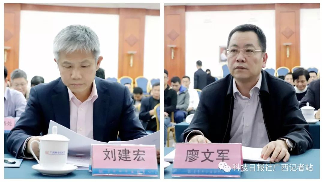 广西科技厅迅即学习贯彻全区创新支撑产业高质量发展推进大会精神