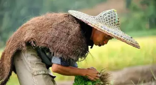 蓑衣,斗笠这玩意儿得是大户人家才有的了,轻轻松松上万块.