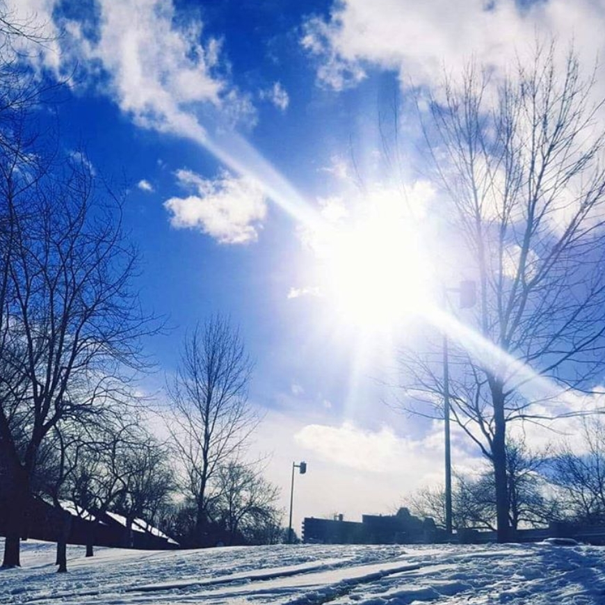 冬天大雪,太阳与树演奏出美妙的生活小调