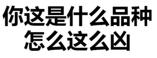 今天来严肃的说一说表情包