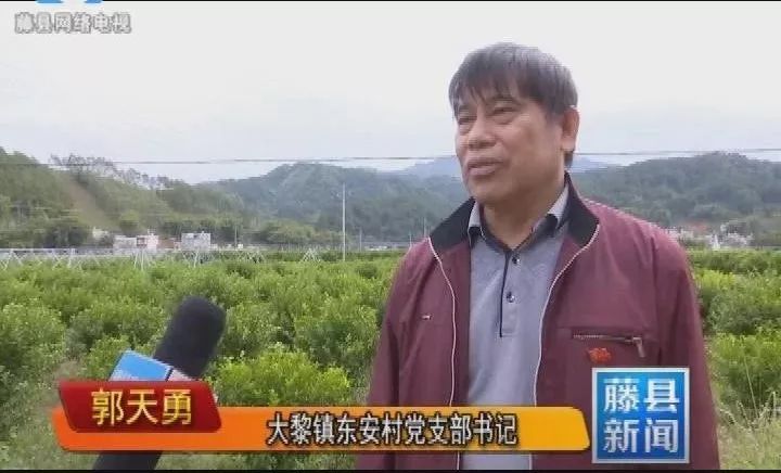 藤县"独臂侠"身残志坚,他是这样脱贫的.