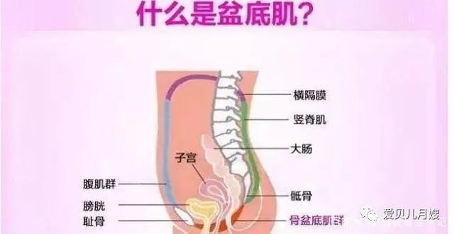 什么肌骨成语_成语故事图片(2)