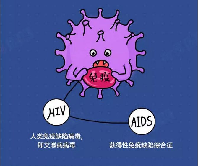 艾滋病,全称获得性免疫缺陷综合征(aids),是由于人体感染了艾滋病病毒