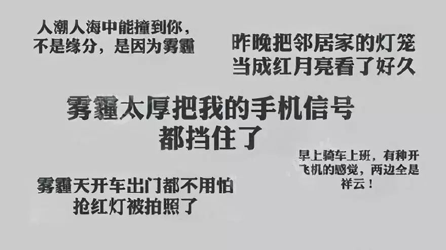 你以為我們是祖國的花骨朵？不，其實我們是綠蘿噠！ 生活 第3張