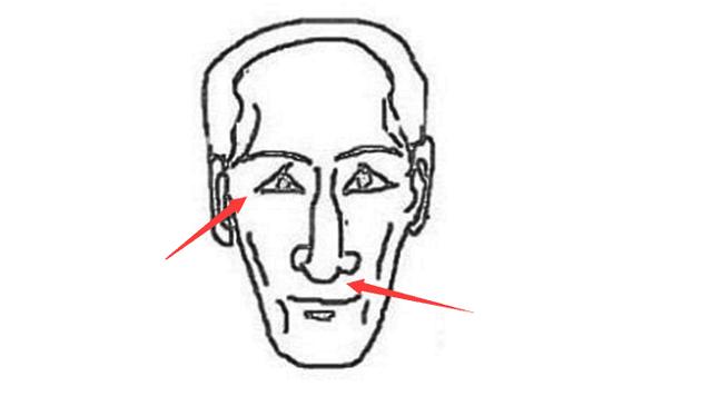 鹰鼻鹞眼所谓鹰鼻指的是鼻子细长尖如钩,鼻翼宽薄,而鹞眼主要指的是