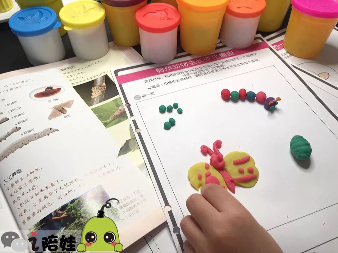 美国小学科学课 孩子用橡皮泥就可以制作生物模型