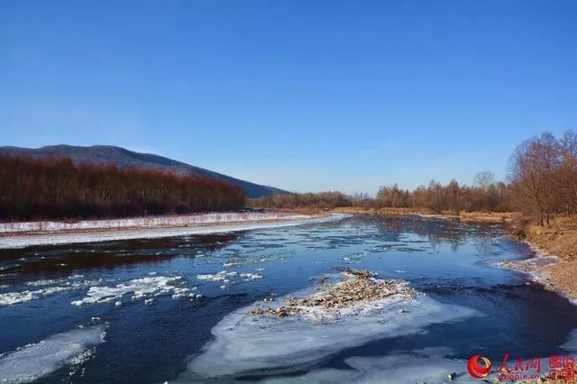 【原创】大兴安岭甘河溪水