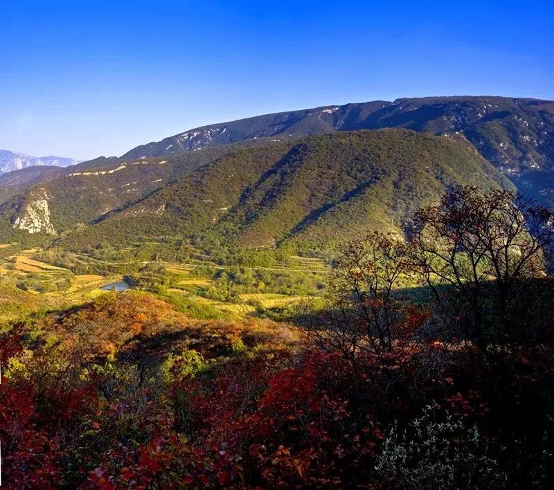 嵩山人口_嵩山少林寺图片