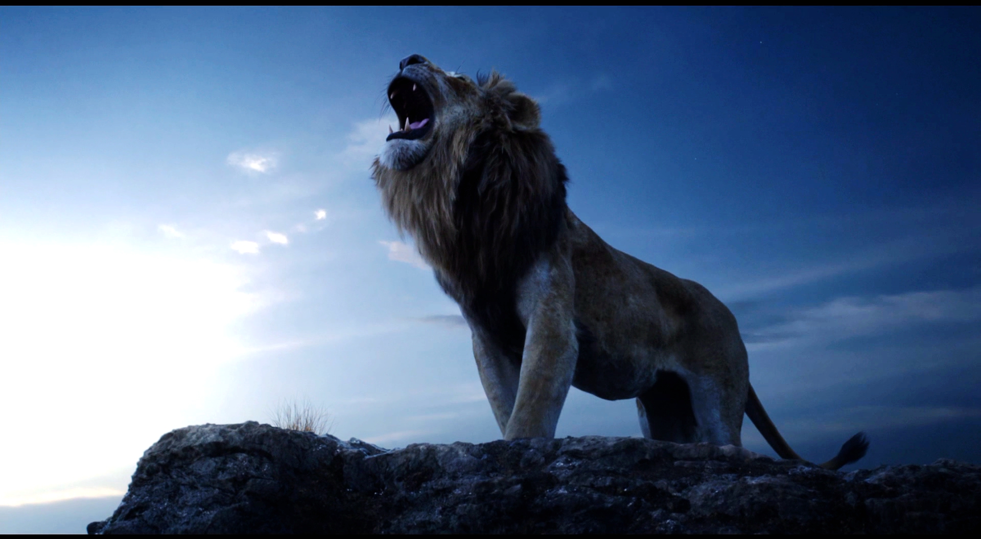 《狮子王》"真狮版"全解析,超萌还原动画版