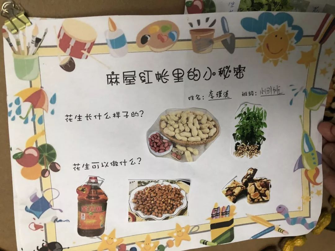 班级生态区中种植了花生,孩子们经常去观察花生的成长,对花生表现出了