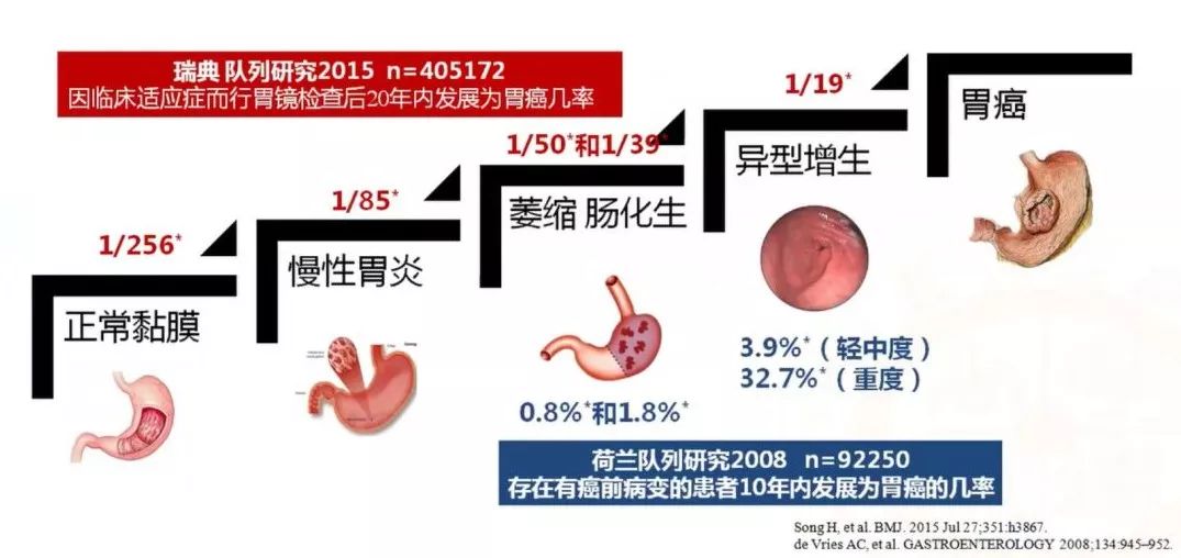 保胃健康 | 萎缩性胃炎,离患癌到底有多远?