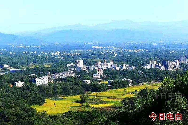 的"好心茂名人"网络投票评选正在如火如荼进行着,电白区唯一候选人,马