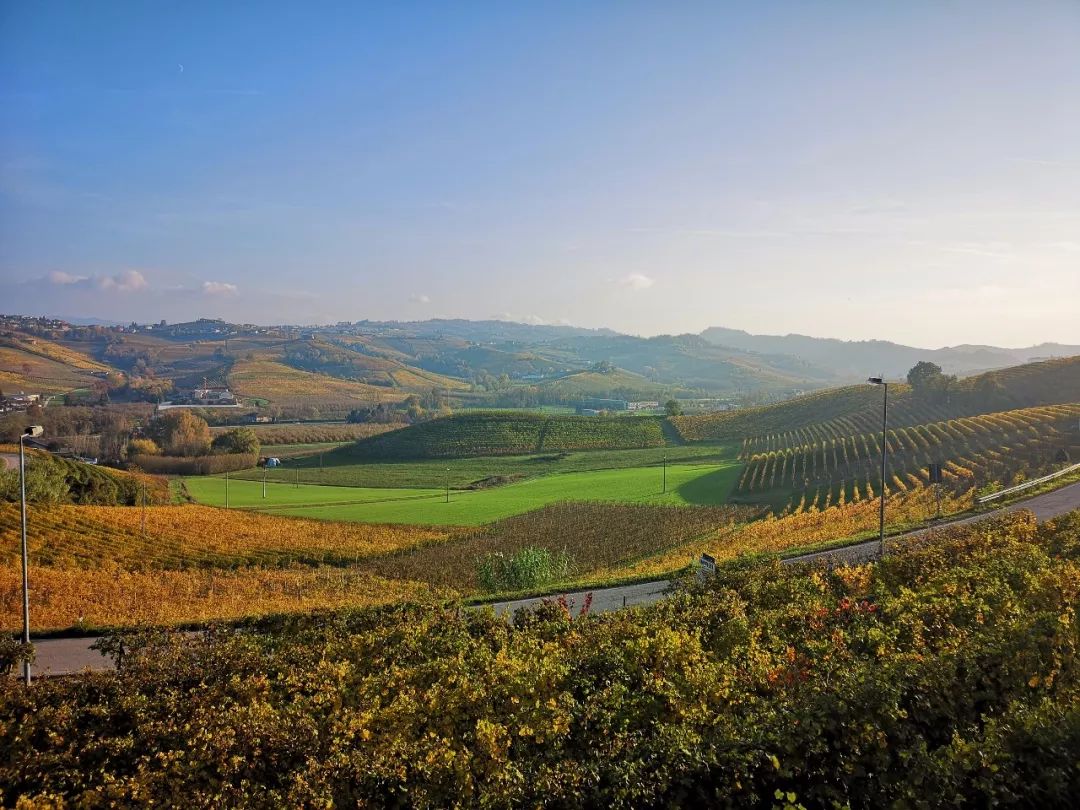 意大利顶级酒庄之旅第二站巴罗洛barolo