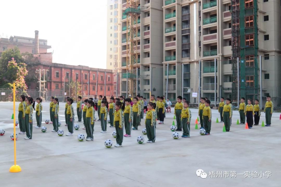 守规范 润童心 乐成长 ——梧州市第一实验小学一年级