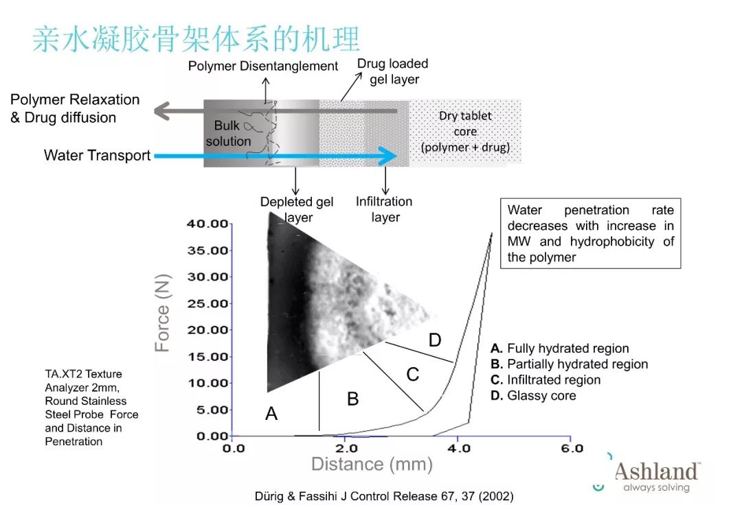 亲水凝胶骨架缓控释技术的发展ppt