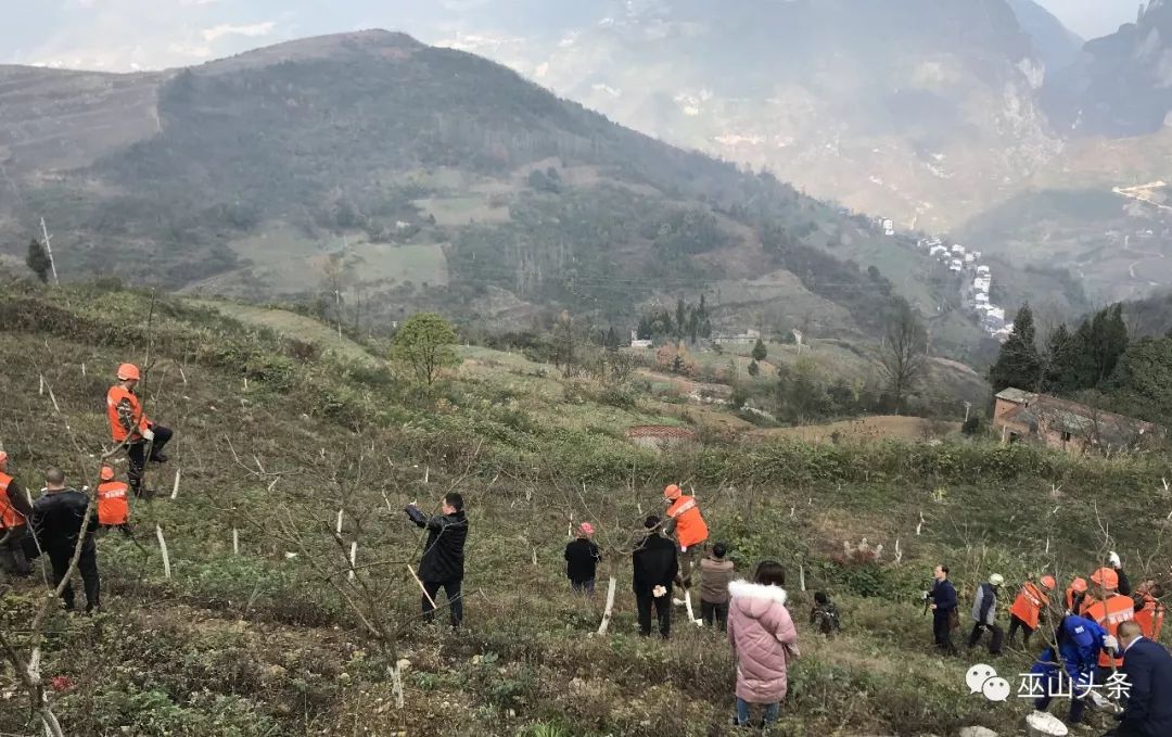 一起上!巫山24个乡镇供销合作社将全面重组你看好吗