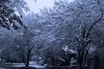 没有雪的冬天,总觉得少点什么,南方的亲们,这些雪景图