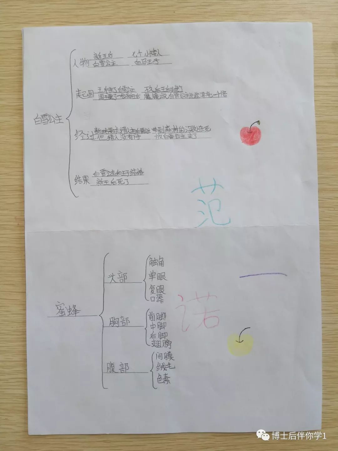 上海新虹桥小学思维地图括号图