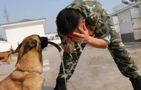 18个人犬情深催泪瞬间退役时他们互敬军礼泪别求求你不要走