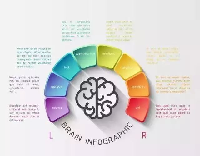 全脑教育高质量陪伴孩子阅读,童蕴学堂分享关于阅读的