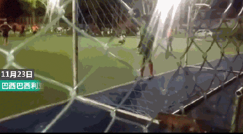 狗子闯入足球赛场，帮失误的守门员扑飞了一个点球