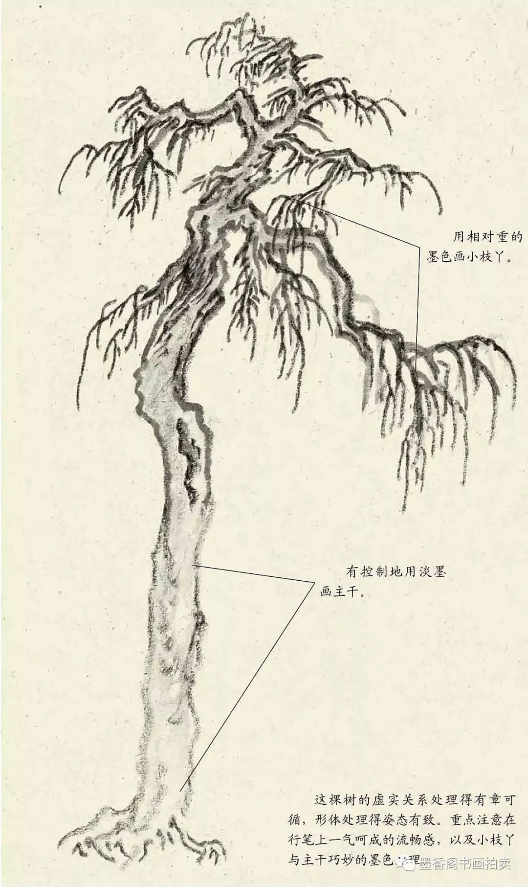 图文教程丨枯树的画法