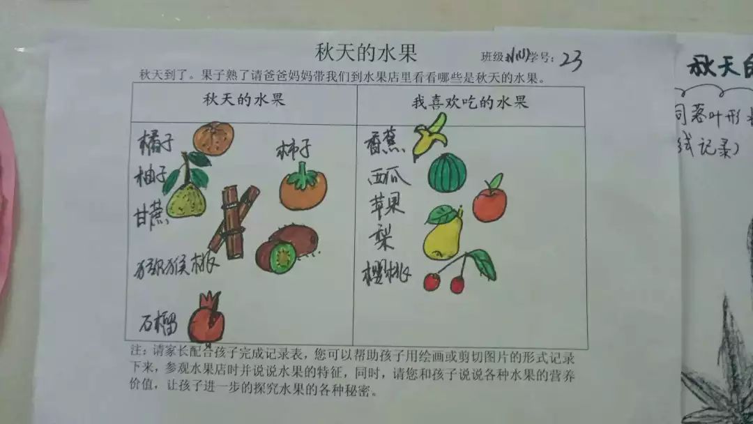 秋季水果大调查 孩子们参观了水果店哦! 是秋天的水果呢?