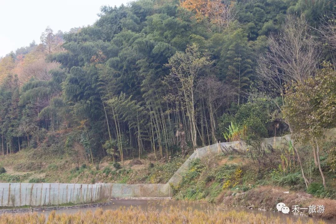 游走慈利三合镇美丽乡村邂逅雷岩风光慢生活