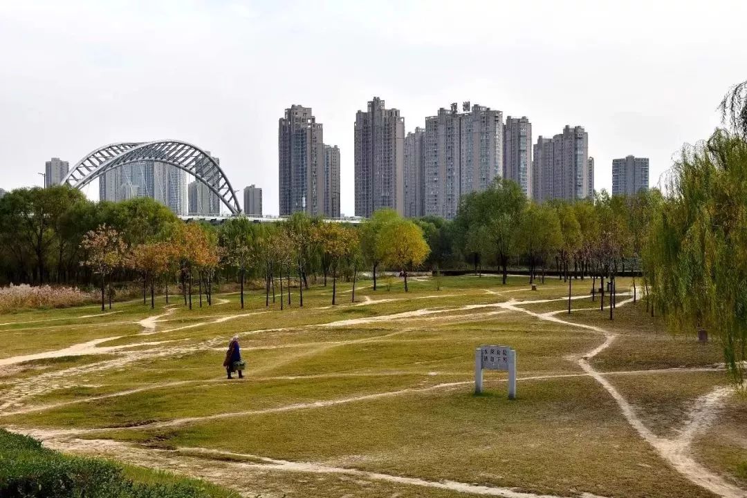 位于洛阳市西南的高新技术开发区境内,洛浦湿地公园,就在洛河的上游