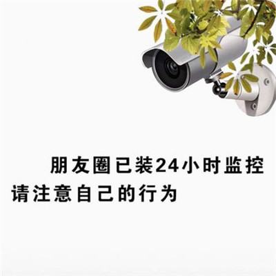 热门搞笑表情包朋友圈已装监控请注意自己的行为