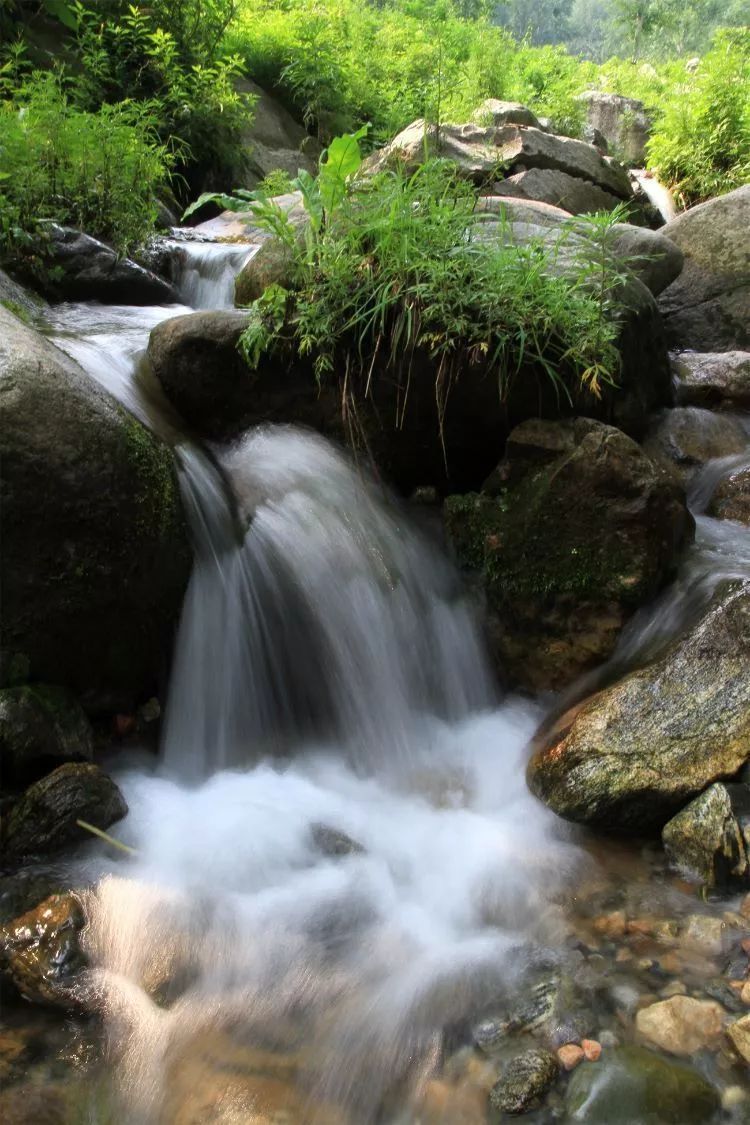 牤牛沟里溪流淙淙(黄土台村)