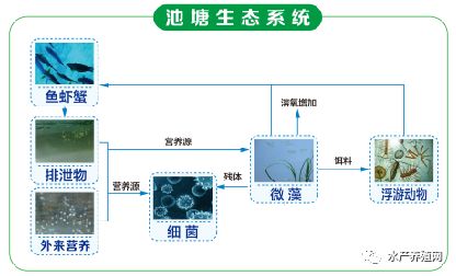 新农匠:生态系统 意在循环,重在运转,平稳高效是关键.