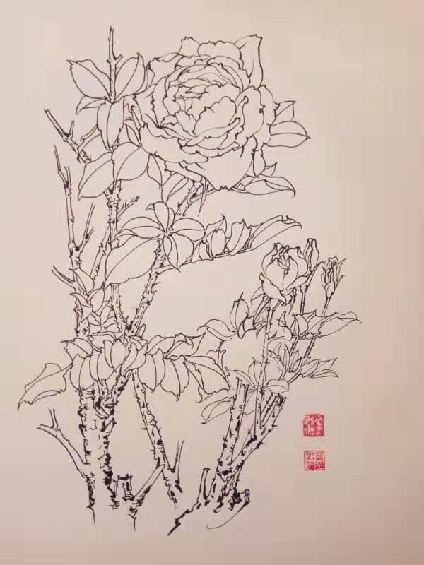 第七百七十六幅——山楂(035中性笔 05针管笔白描花卉习作)第七百七