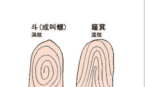 你的手上几个斗,几个簸箕?分别都是什么命?对比一下就