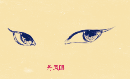 在面相中,所谓的丹凤眼,就是指眼睛呈现内双或是单眼皮,眼尾朝上